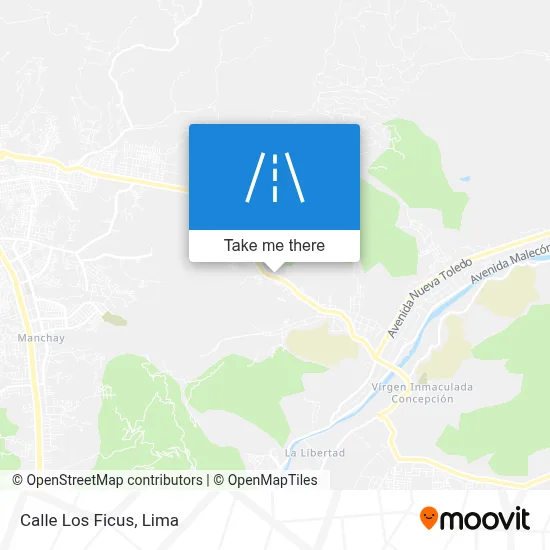 Calle Los Ficus map