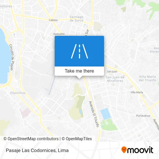 Pasaje Las Codornices map