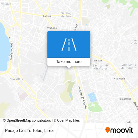 Pasaje Las Tortolas map