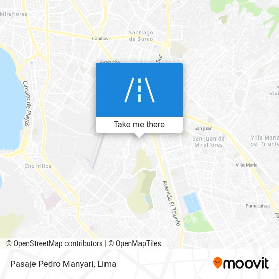 Pasaje Pedro Manyari map