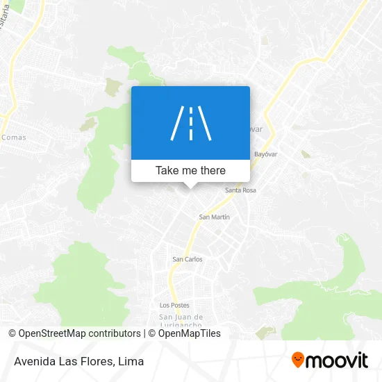 Avenida Las Flores map