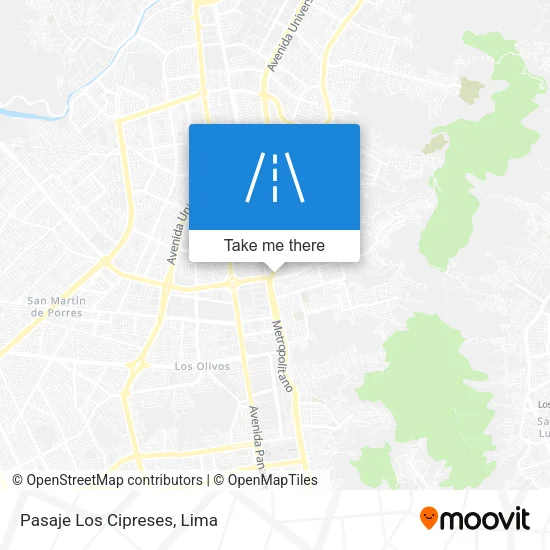 Pasaje Los Cipreses map