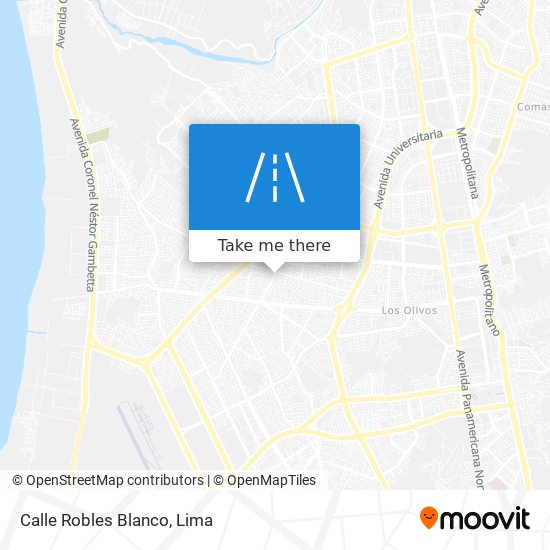 Calle Robles Blanco map