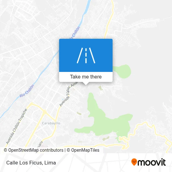 Calle Los Ficus map