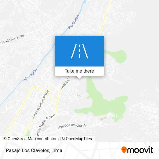 Pasaje Los Claveles map