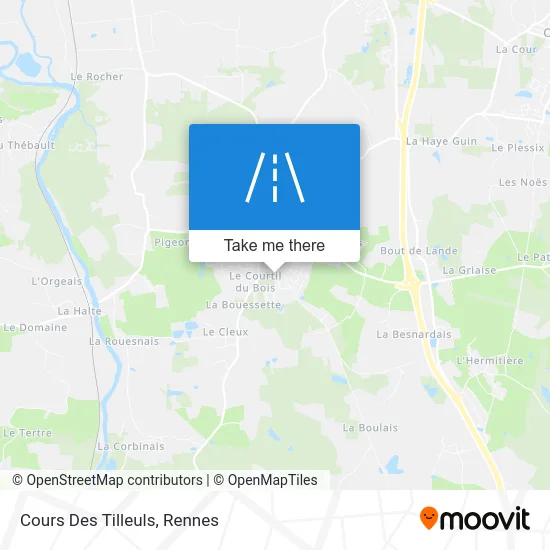 Cours Des Tilleuls map