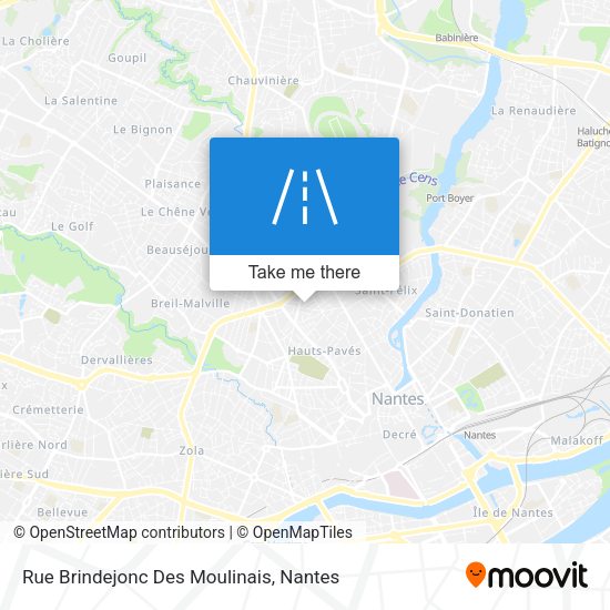 Rue Brindejonc Des Moulinais map