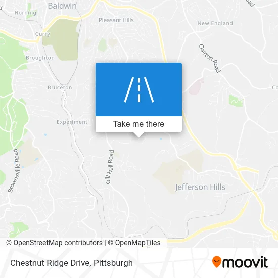 Chestnut Ridge Drive map