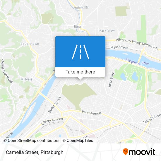 Mapa de Camelia Street
