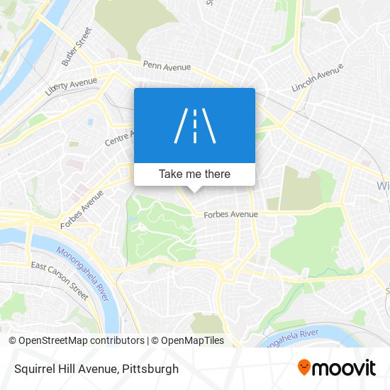 Squirrel Hill Avenue map