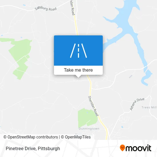 Pinetree Drive map