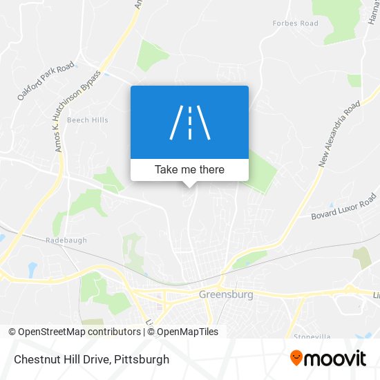 Mapa de Chestnut Hill Drive