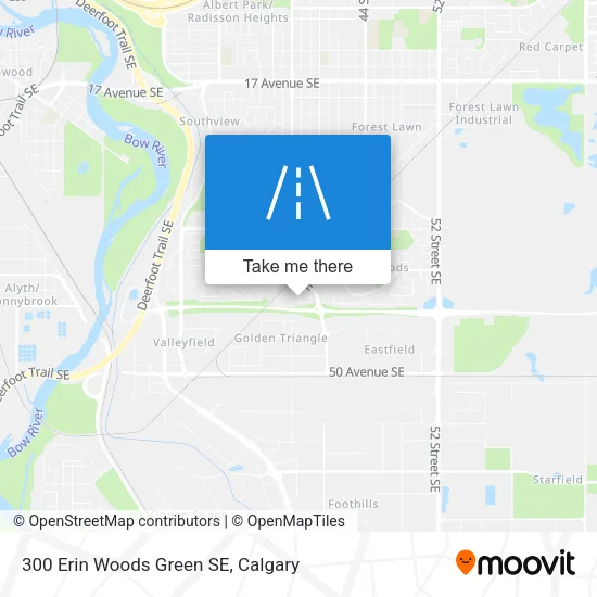 300 Erin Woods Green SE map