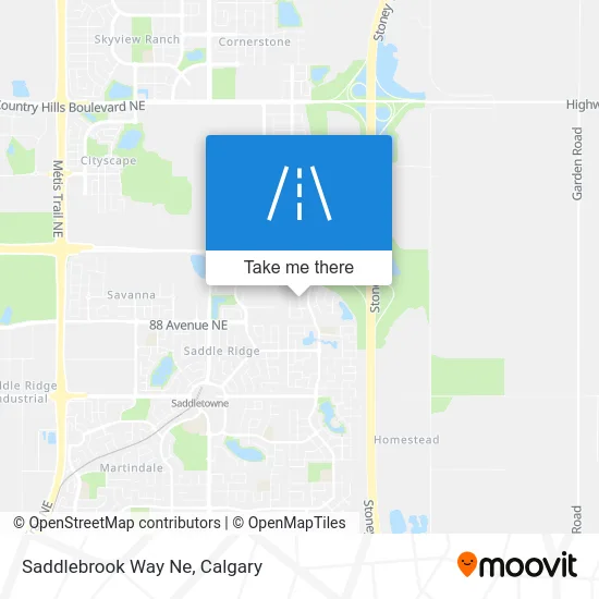 Saddlebrook Way Ne map