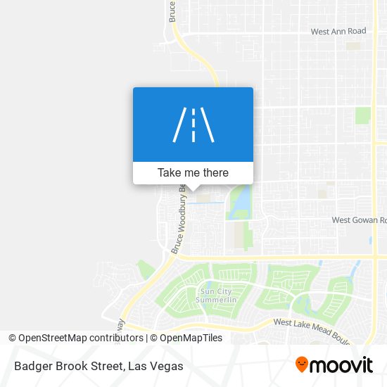 Badger Brook Street map