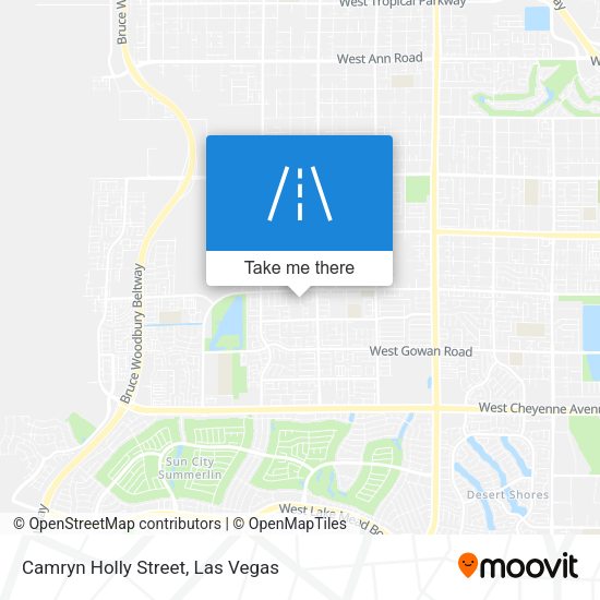 Camryn Holly Street map