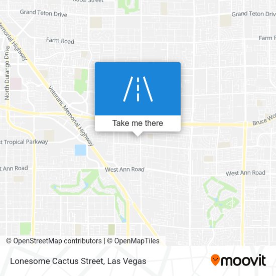 Lonesome Cactus Street map