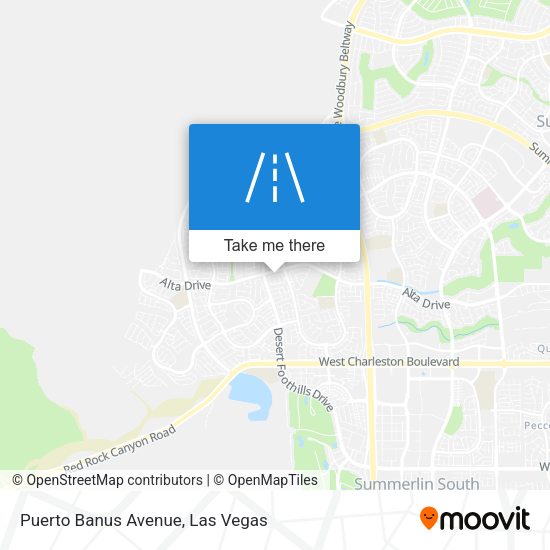 Puerto Banus Avenue map