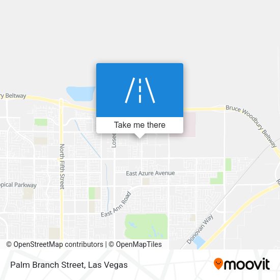 Palm Branch Street map