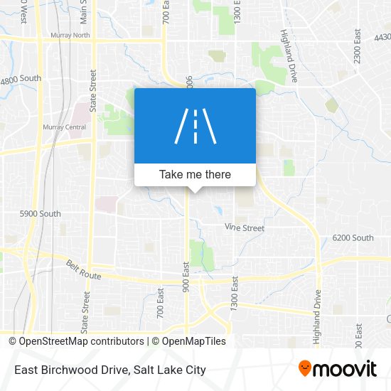 East Birchwood Drive map