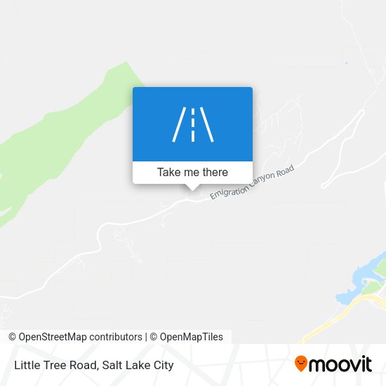 Little Tree Road map