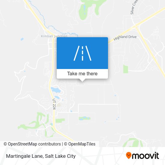 Martingale Lane map
