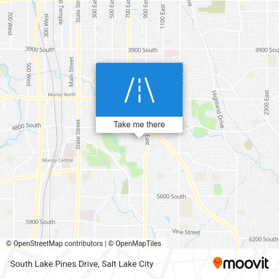 South Lake Pines Drive map