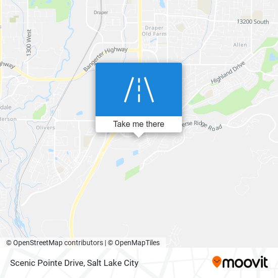 Scenic Pointe Drive map