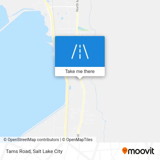 Tams Road map