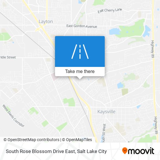 Mapa de South Rose Blossom Drive East