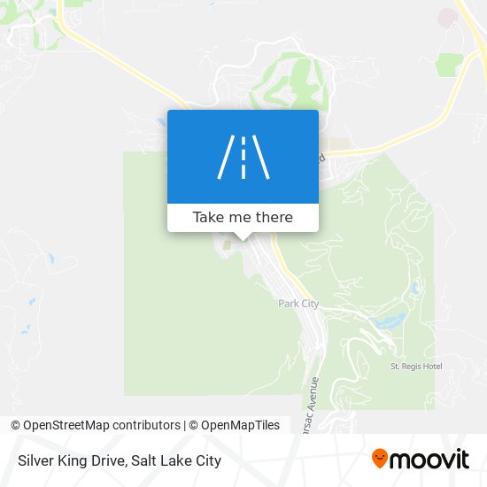 Silver King Drive map