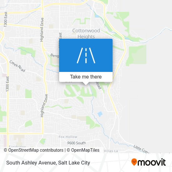 Mapa de South Ashley Avenue