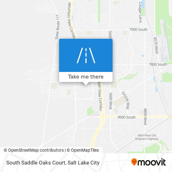 Mapa de South Saddle Oaks Court