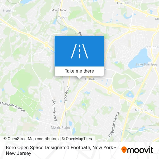 Boro Open Space Designated Footpath map