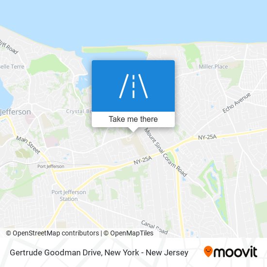 Gertrude Goodman Drive map