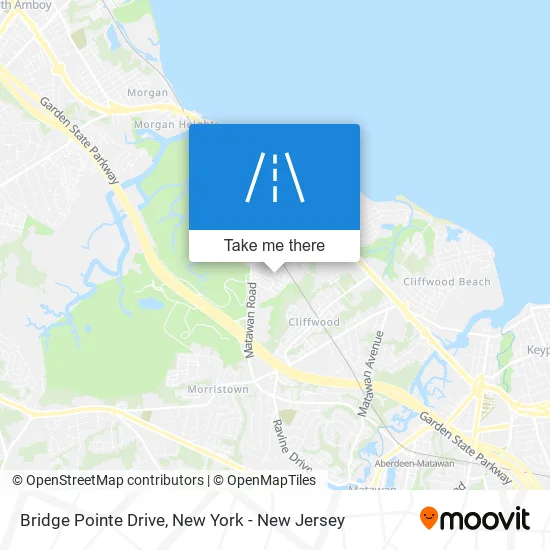 Bridge Pointe Drive map