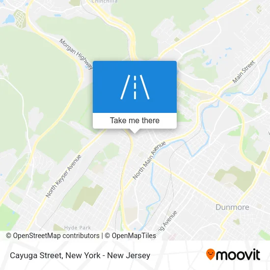 Cayuga Street map