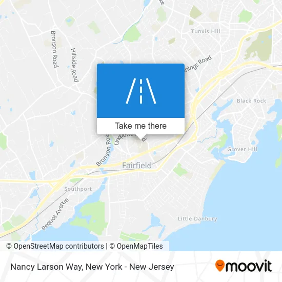 Nancy Larson Way map