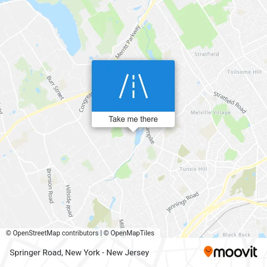 Springer Road map