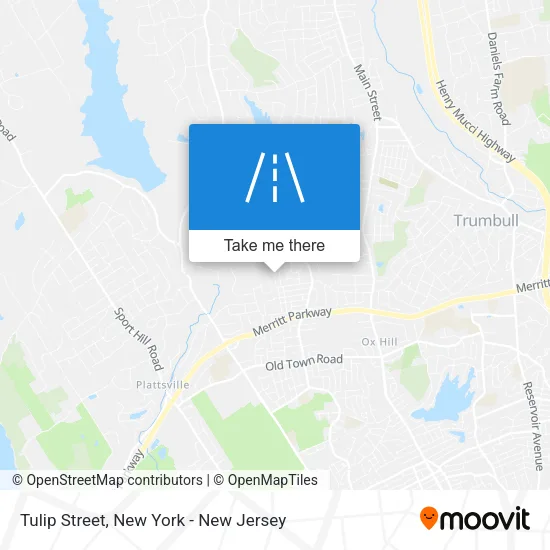 Tulip Street map