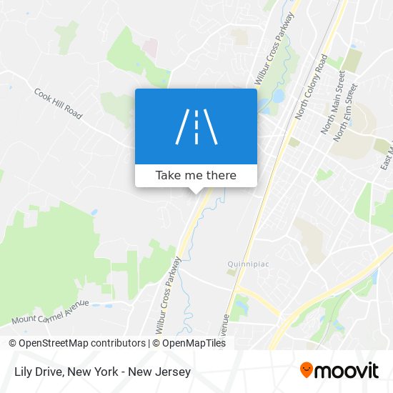 Lily Drive map