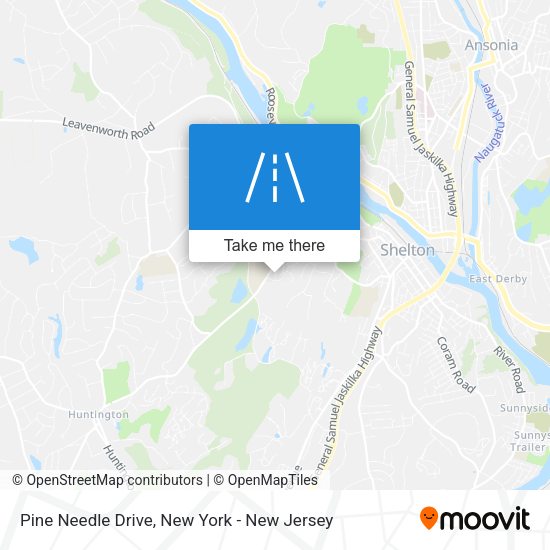 Pine Needle Drive map