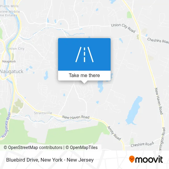 Bluebird Drive map