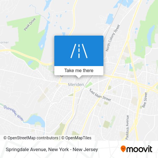 Mapa de Springdale Avenue