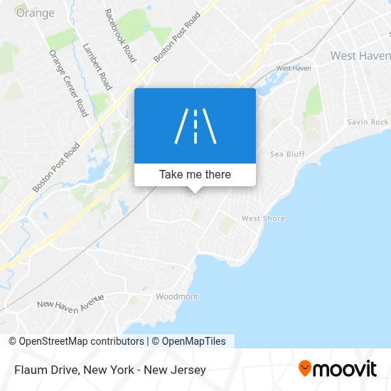 Flaum Drive map