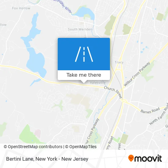 Bertini Lane map
