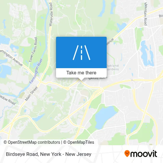 Birdseye Road map
