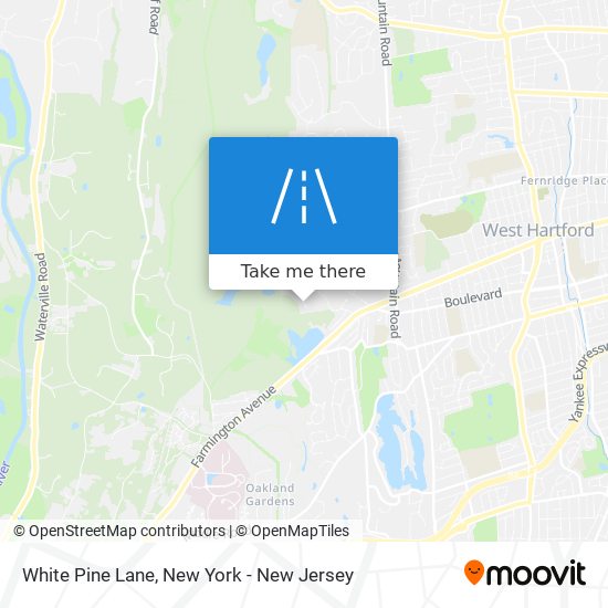 Mapa de White Pine Lane