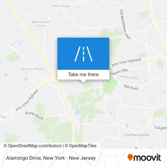 Alamingo Drive map