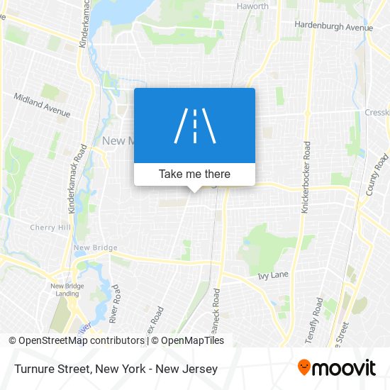 Turnure Street map